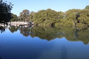 2025-06-21 Bartons Park - IMG_2445_compressed_q50.webp